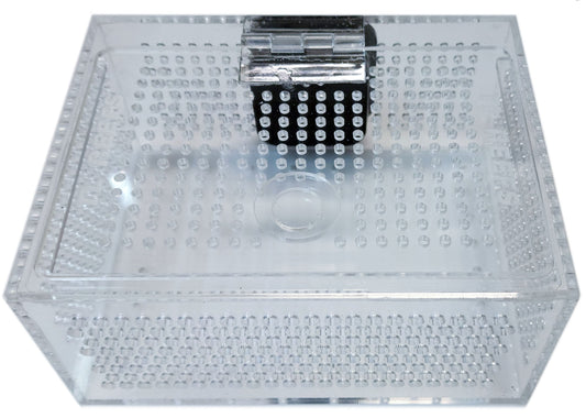 TL Reefs Mushroom Box